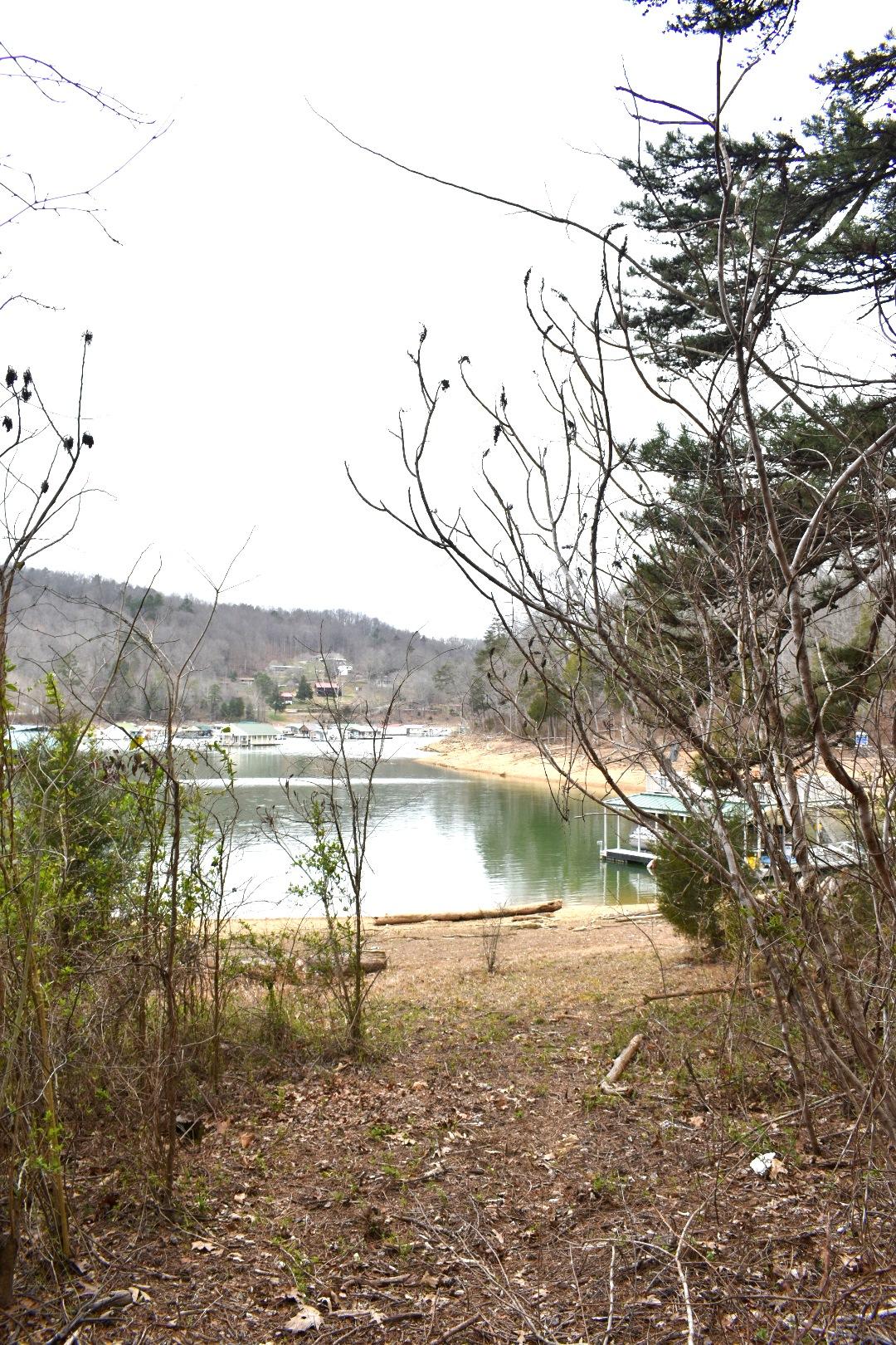 Lot 162 Bridle Way Road Speedwell, TN 37870 - Photo 4 of 31 DSC_0497