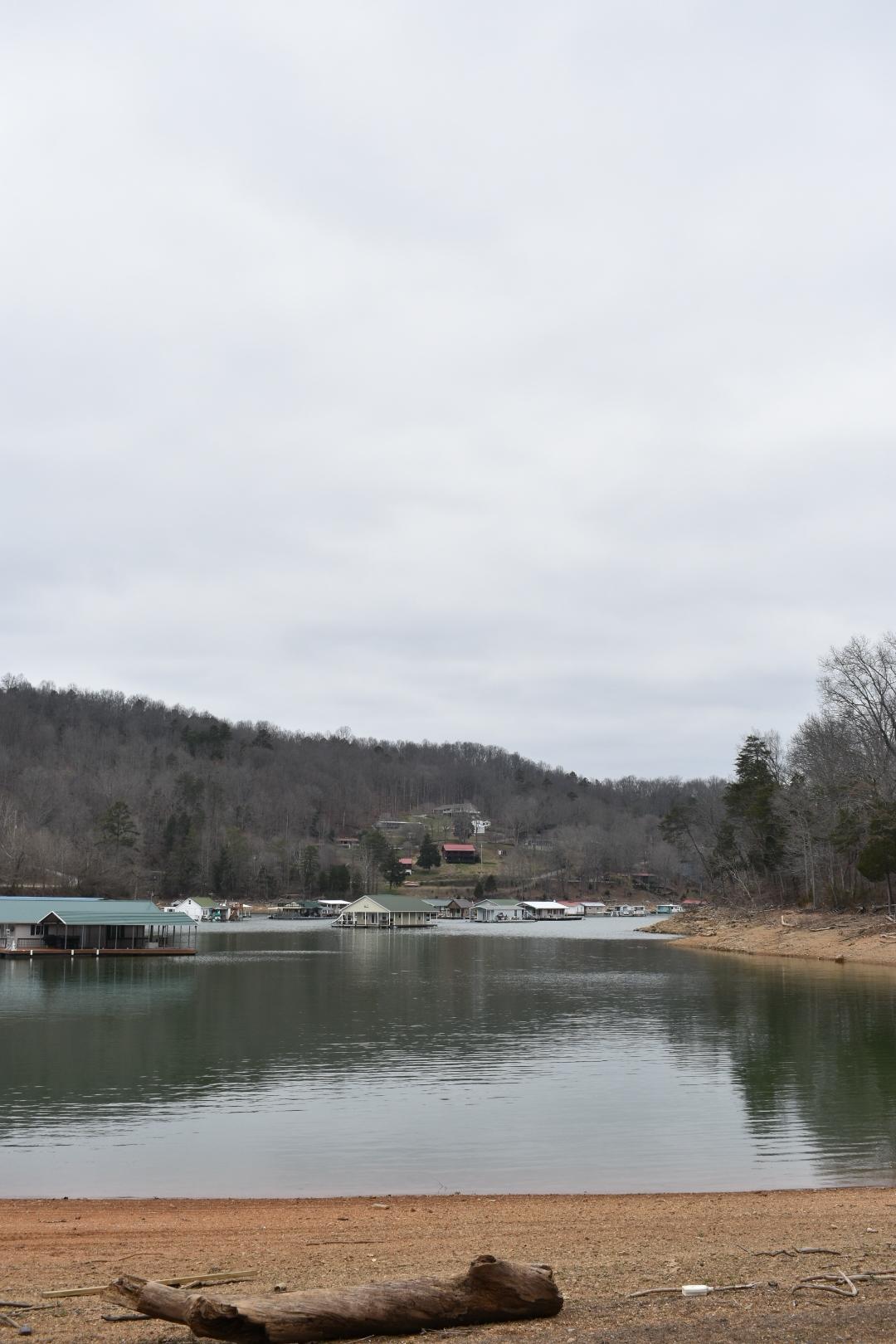 Lot 162 Bridle Way Road Speedwell, TN 37870 - Photo 6 of 31 DSC_0493