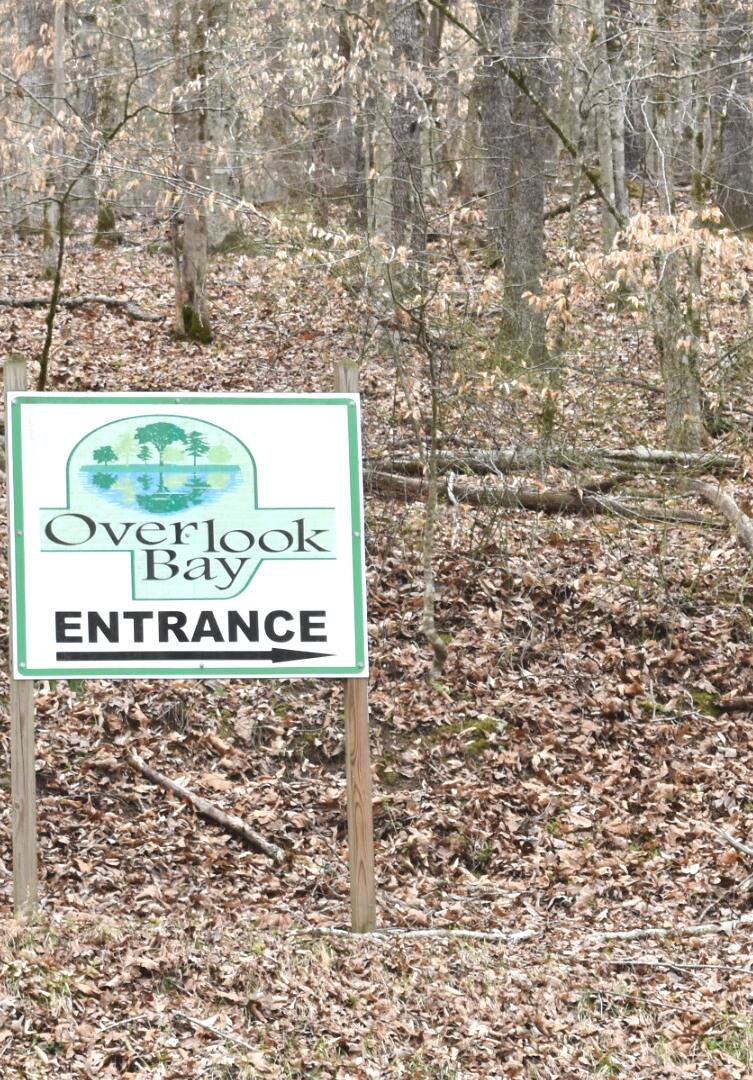 Lot 162 Bridle Way Road Speedwell, TN 37870 - Photo 7 of 31 DSC_0544