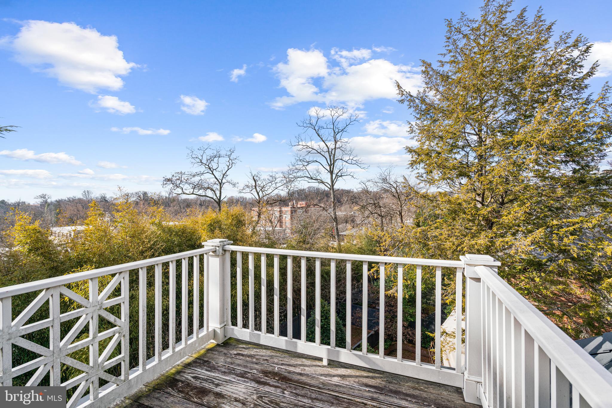 2426 Tracy Place Northwest Washington, DC 20008 - Photo 29 of 44 Balcony