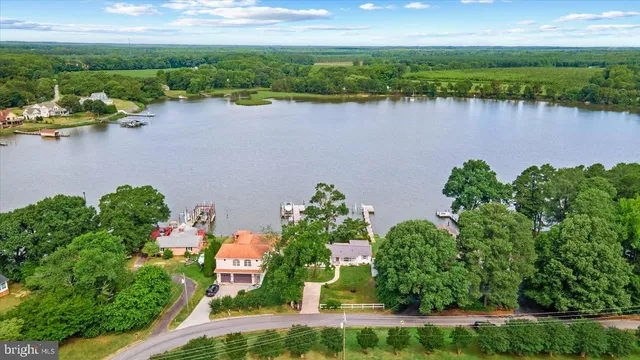 a view of a lake with a bench under large trees