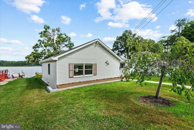 a backyard of a house with plants and large tree