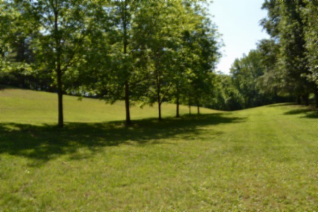 318 Rock Springs Road Celina, TN 38551 - Photo 53 of 87 a view of yard with green space