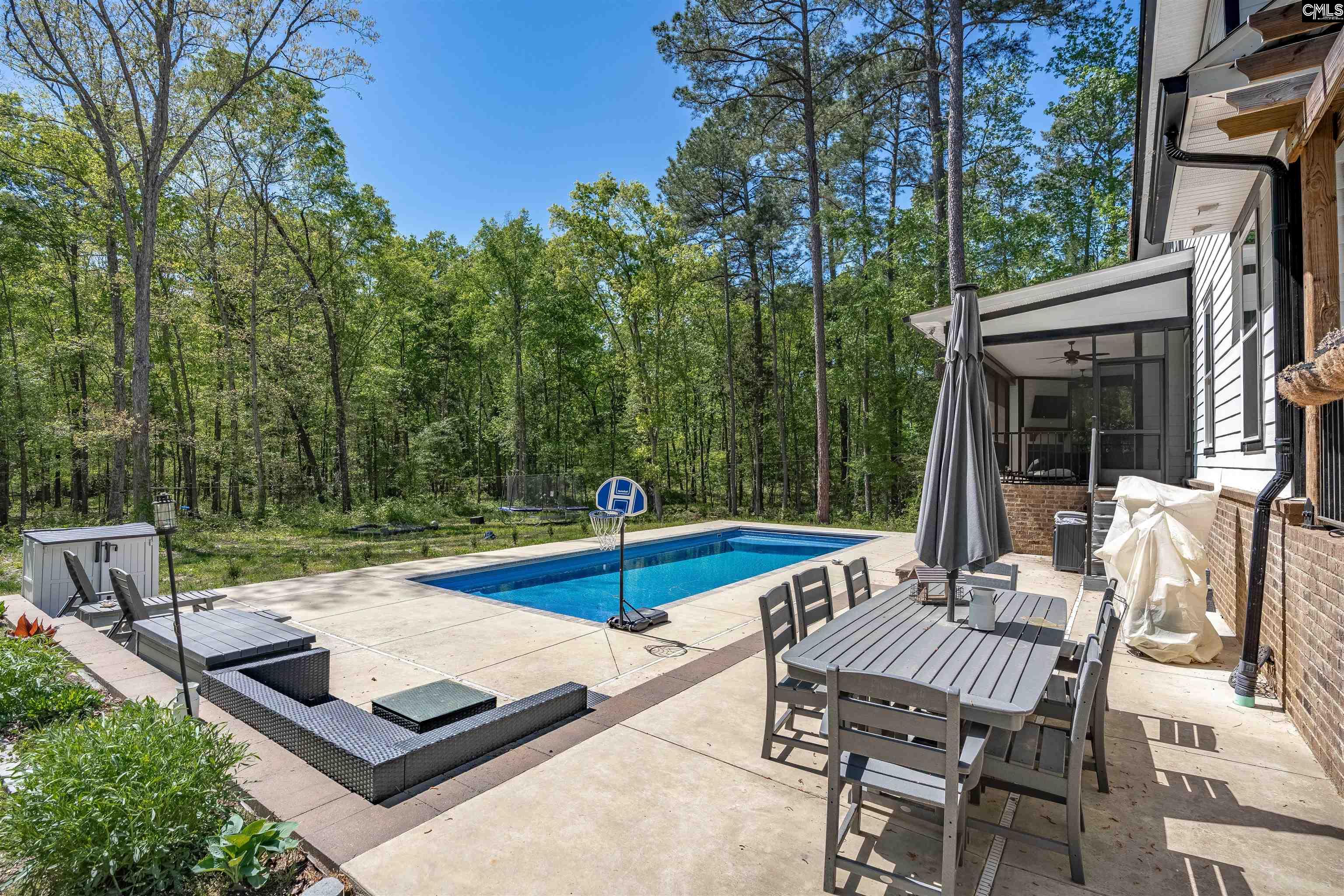 437 Amicks Ferry Road Chapin, SC 29036 - Photo 35 of 45