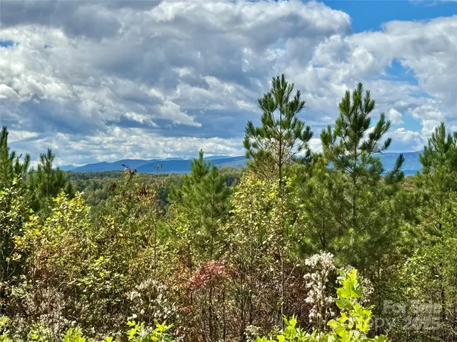 a view of a garden with a building in the background