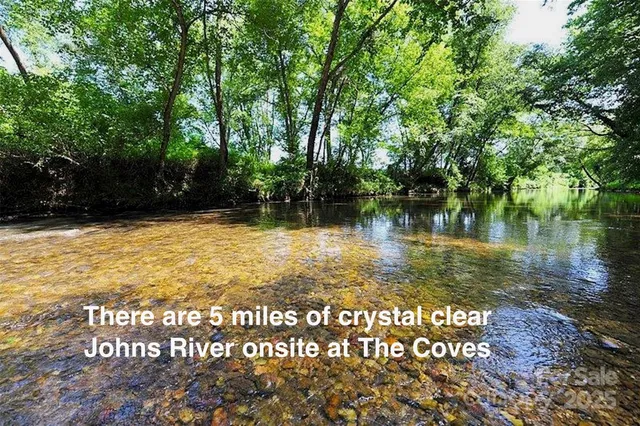 a swimming pool with large trees