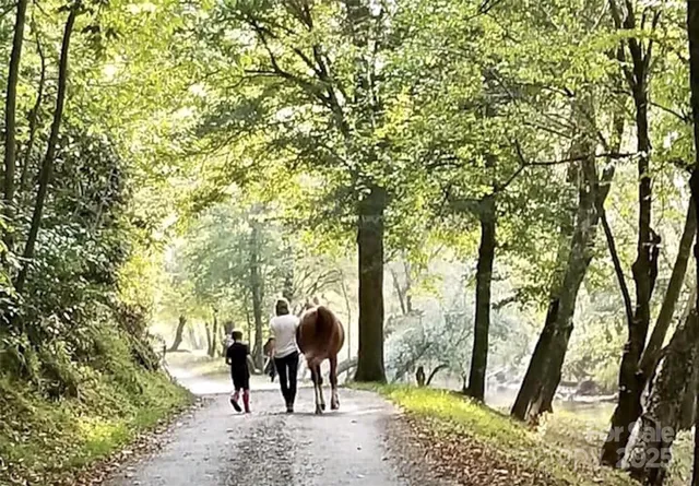 an outdoor space with lounge chairs