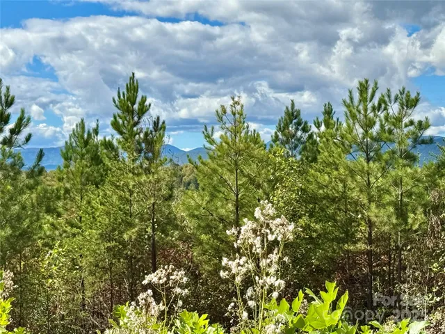 a backyard of a house