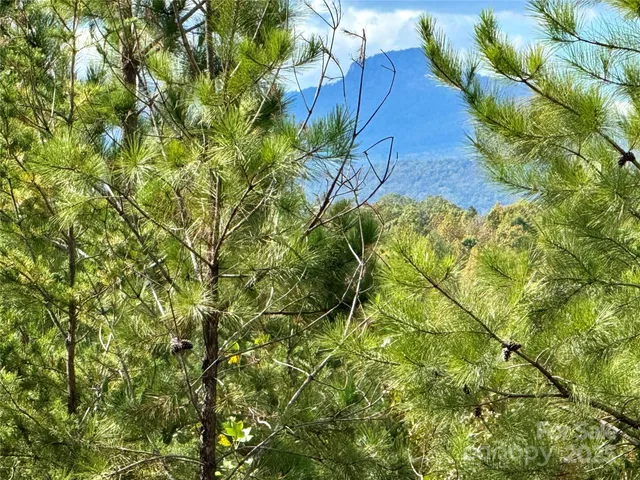 a black and white photo of a rug