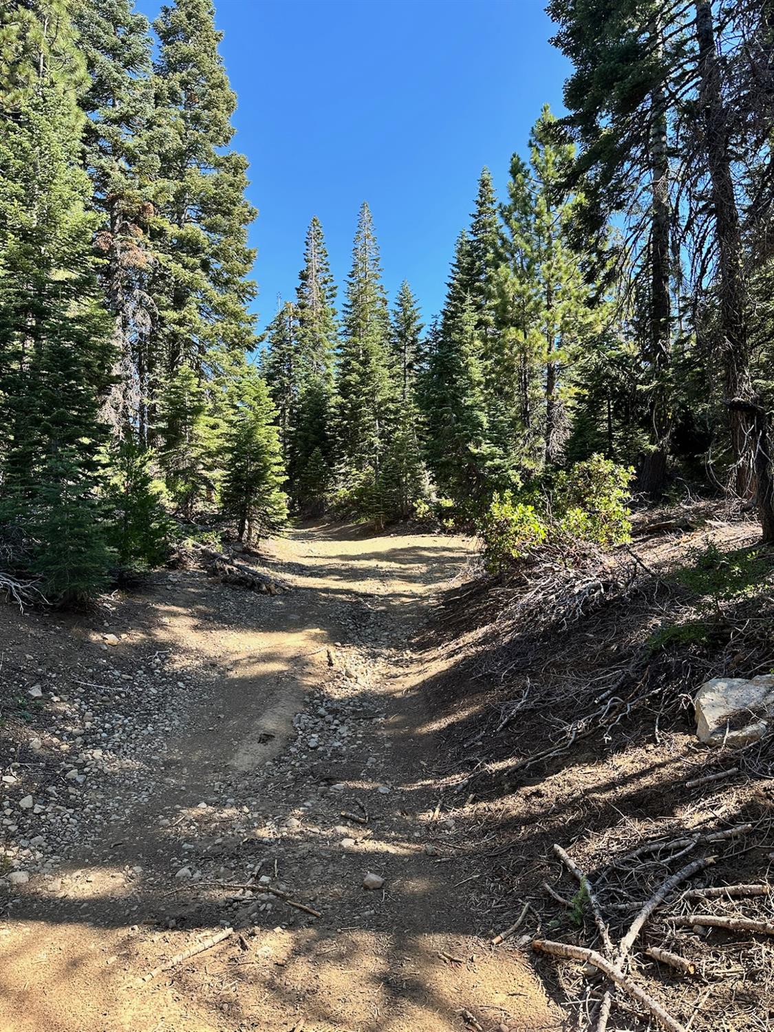 19231 Marsh Mill Road Nevada City, CA 95959 - Photo 15 of 17