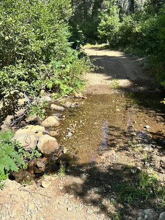 a view of a yard with an trees