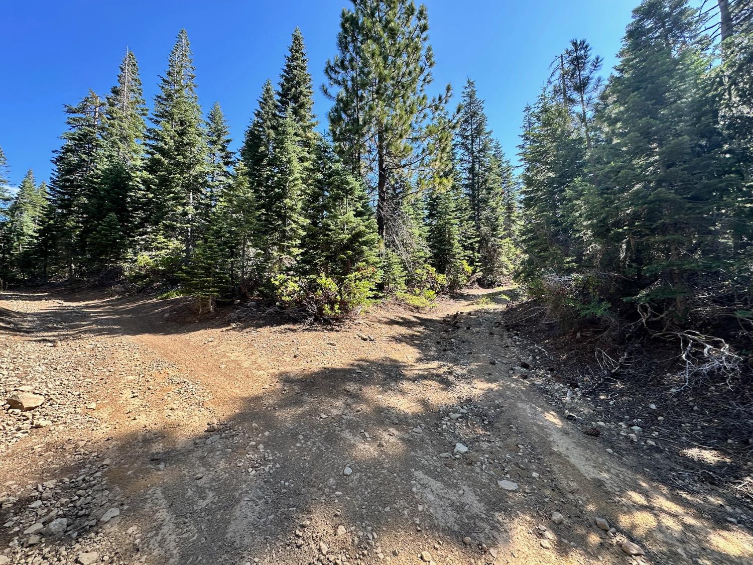 19231 Marsh Mill Road Nevada City, CA 95959 - Photo 7 of 17 a view of outdoor space and trees