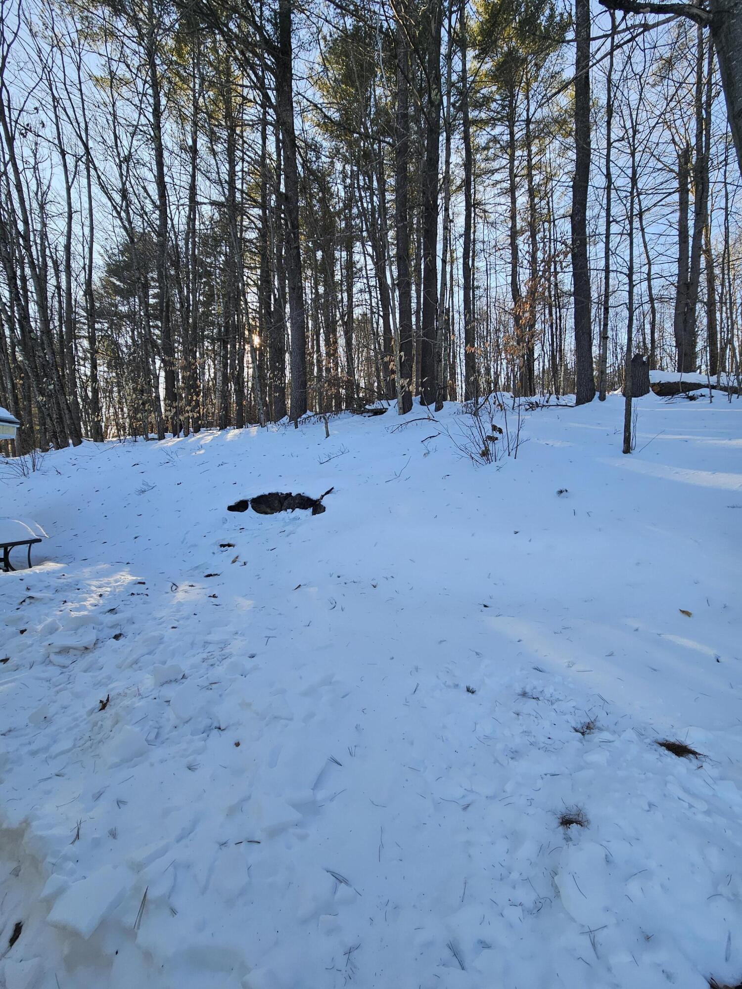 152 Daggett Hill Road Greene, ME 04236 - Photo 57 of 57 20250221_152054