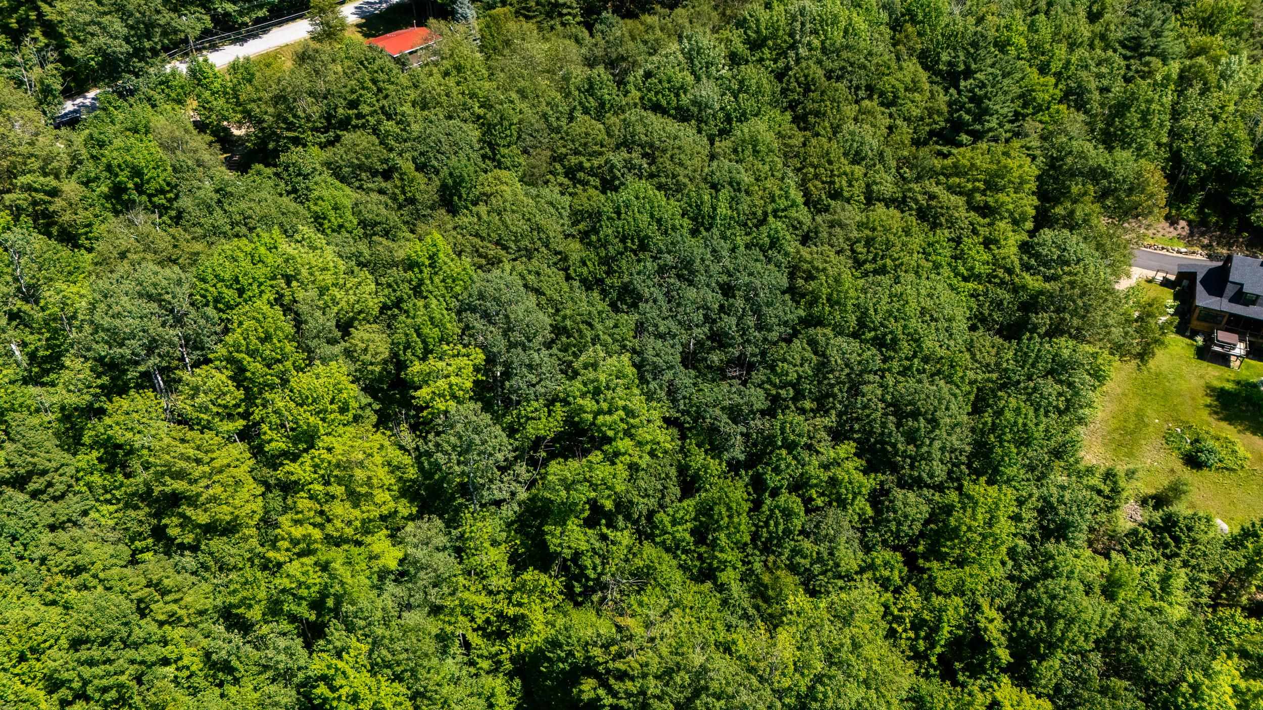 0 Mather Way, Unit V1032A Jackson, NH 03846 - Photo 9 of 14