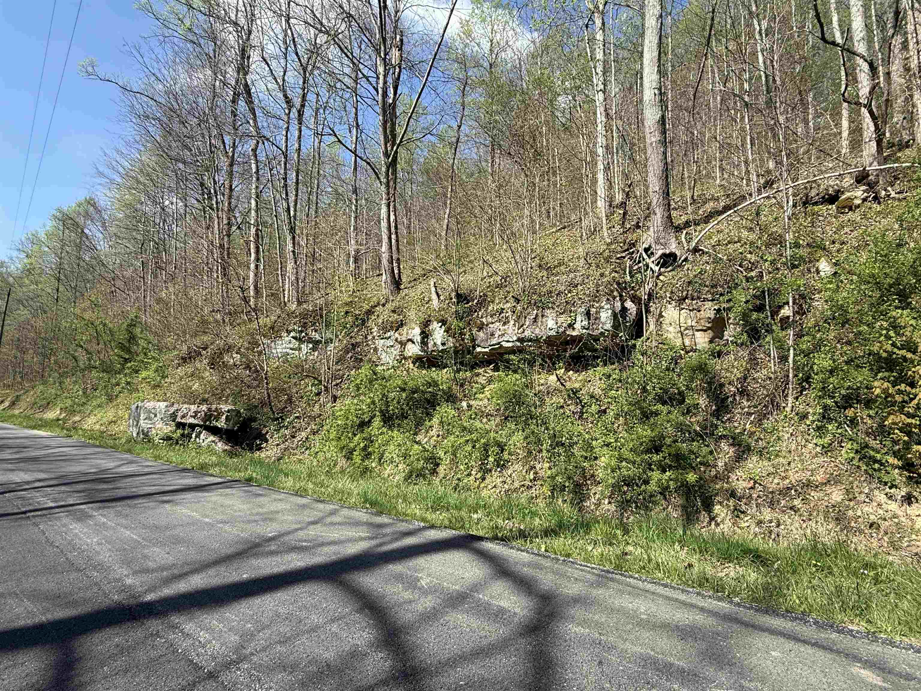 0 Brinegar Road Olive Hill, KY 40351 - Photo 9 of 10