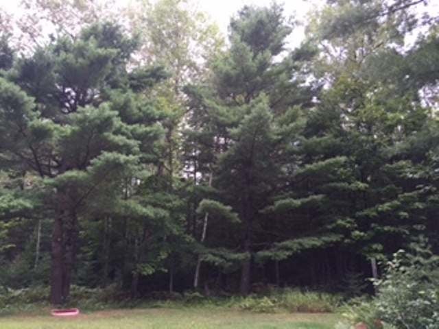5113 Thompson Trail Mercer, WI 54547 - Photo 18 of 20 Gallery Image 18