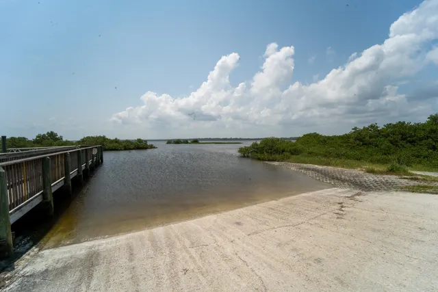 a view of a back yard