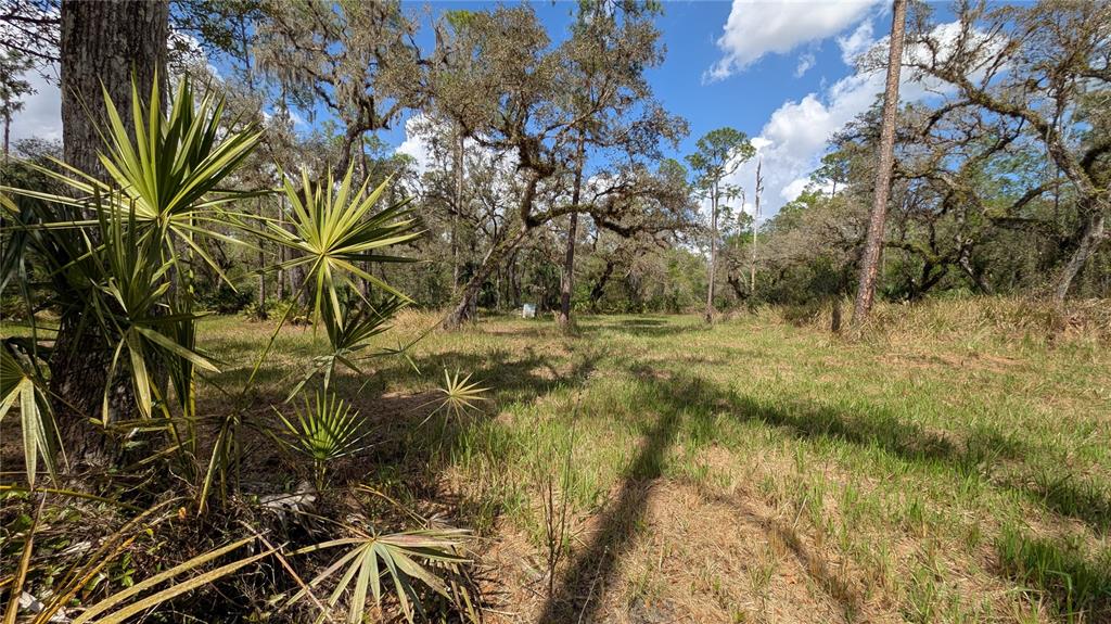 Gillette Road Zolfo Springs, FL 33890 - Photo 40 of 86 Gallery Image 40