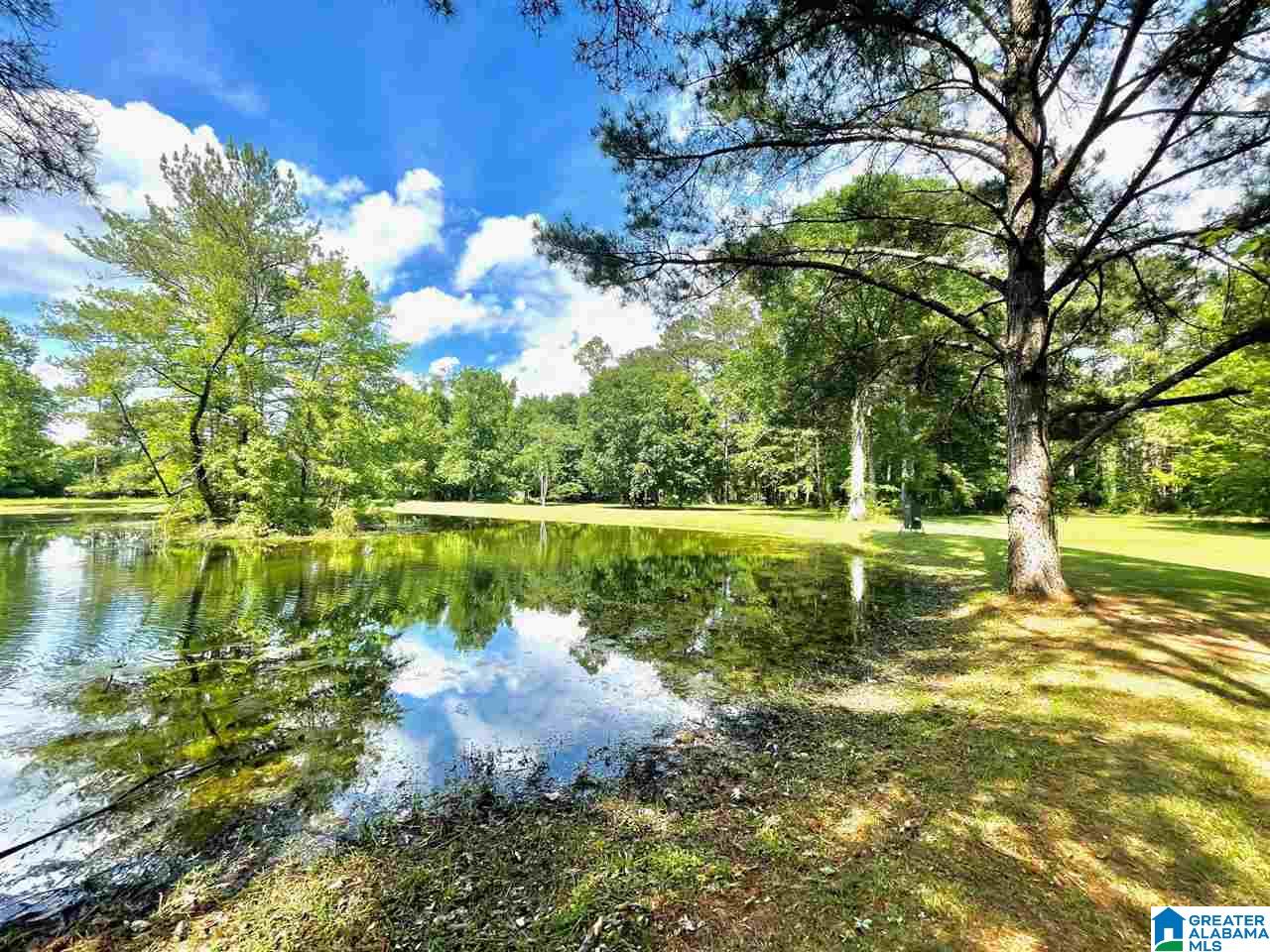 5096 Pleasant Hill Road Bessemer, AL 35022 - Photo 41 of 48