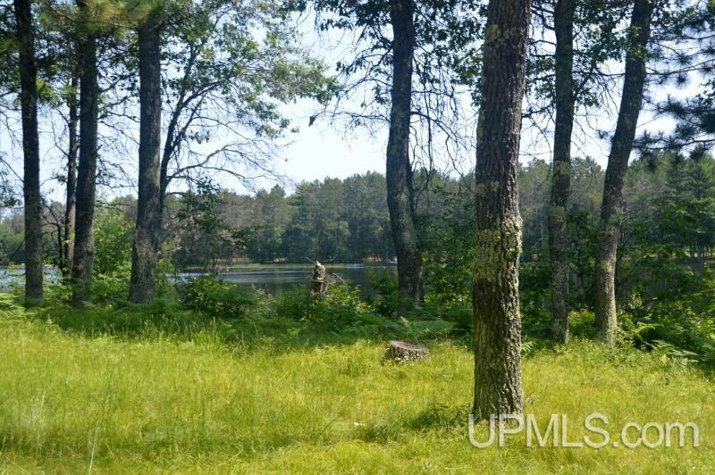 Tbd Scout Lake Road, Unit 1B Florence, WI 54121 - Photo 4 of 7