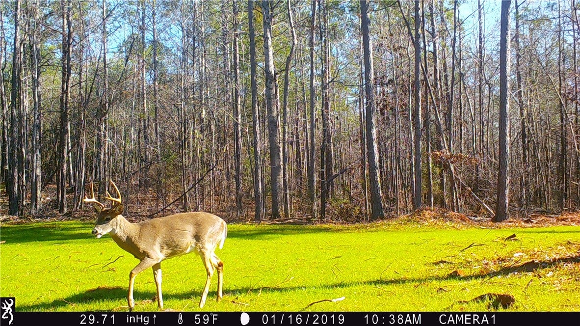 0 South Thornton Road Camp Hill, AL 36850 - Photo 12 of 37 Gallery Image 12