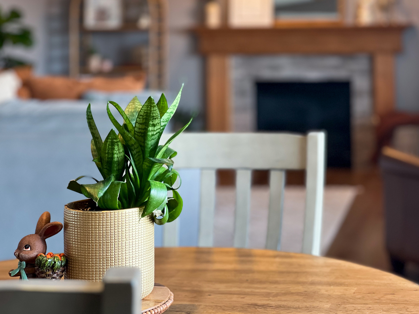 1820 Chuck Murray Drive Normal, IL 61761 - Photo 13 of 46 a view of a flower pot