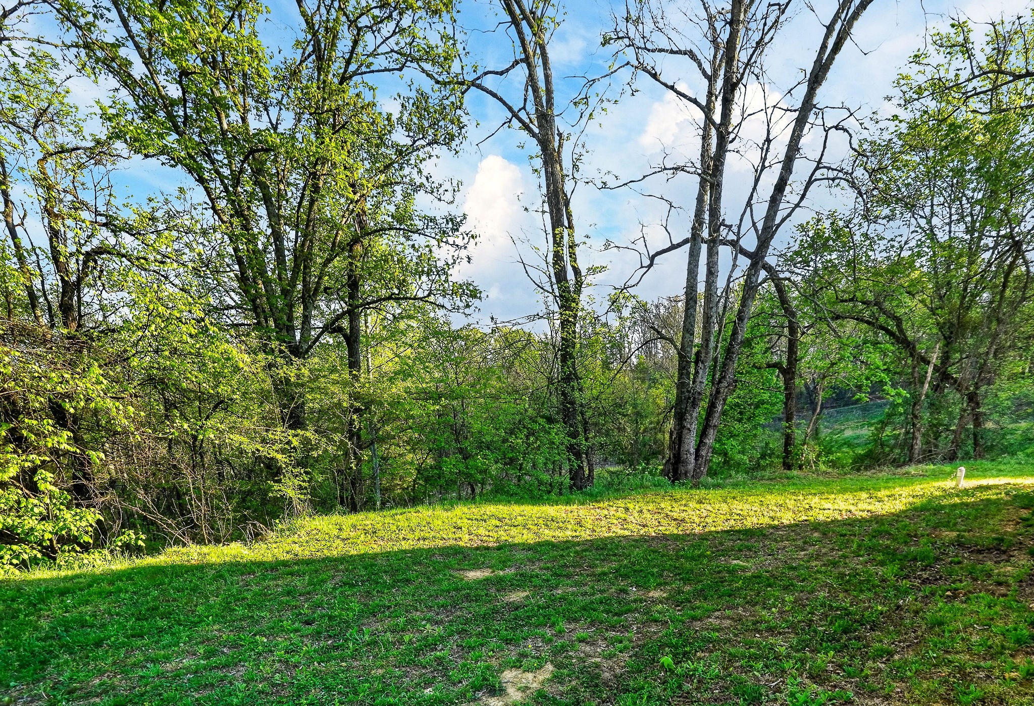 3820 Jefferson Road Smithville, TN 37166 - Photo 28 of 31 a view of a park