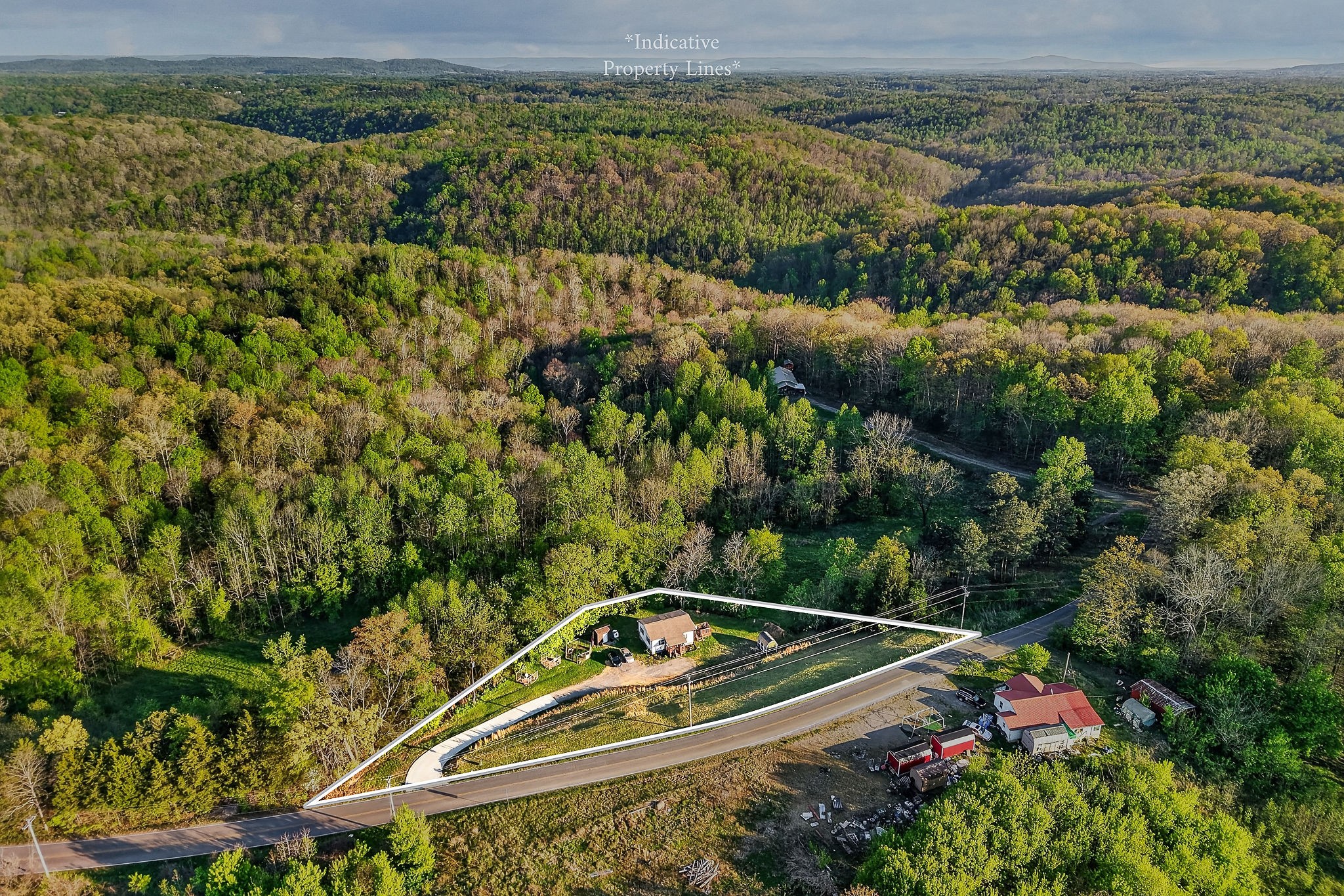 3820 Jefferson Road Smithville, TN 37166 - Photo 31 of 31 a view of a yard with plants and large trees