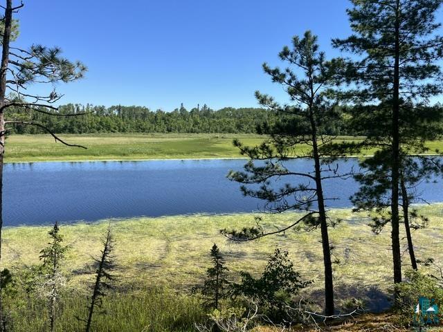7168 Gold Mine Road Orr, MN 55771 - Photo 4 of 40