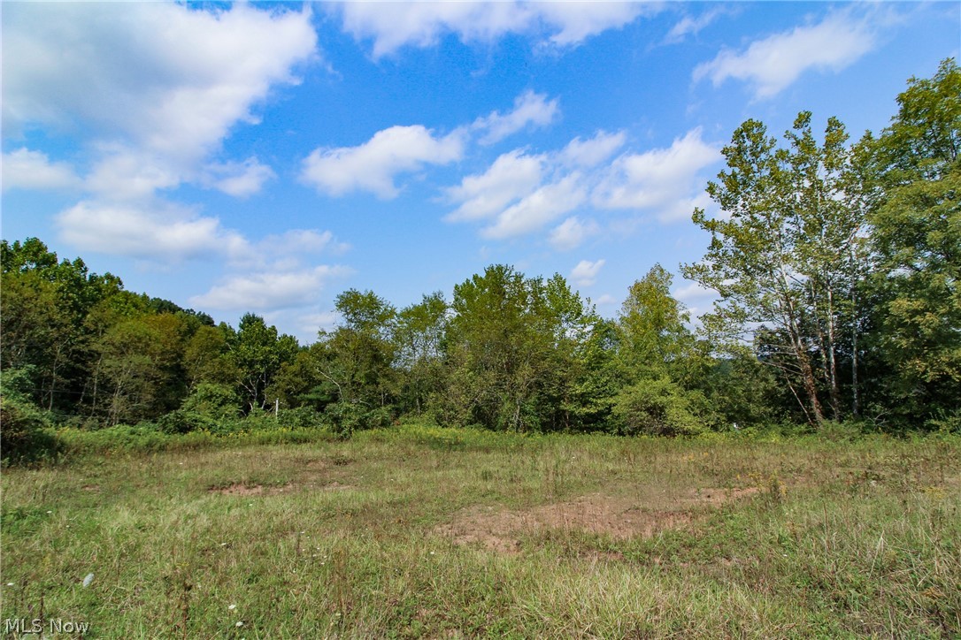 44012 West Union Road Sardis, OH 43946 - Photo 1 of 30 Gallery Image 1
