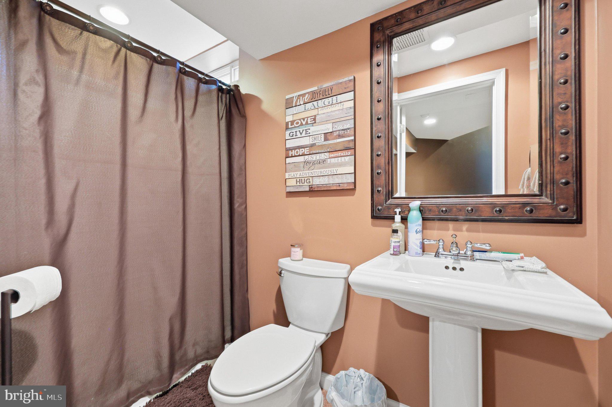 6154 Downs Ridge Court Elkridge, MD 21075 - Photo 51 of 58 Lower level full bath