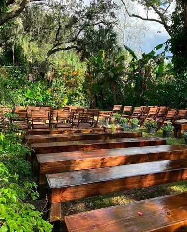 a view of a yard with plants