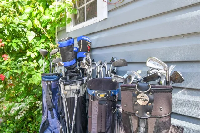 a view of a park with large trees