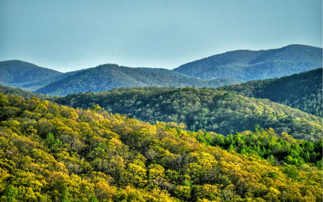 155 Eagles Landing Morganton, GA 30560 - Photo 3 of 52 Additional View