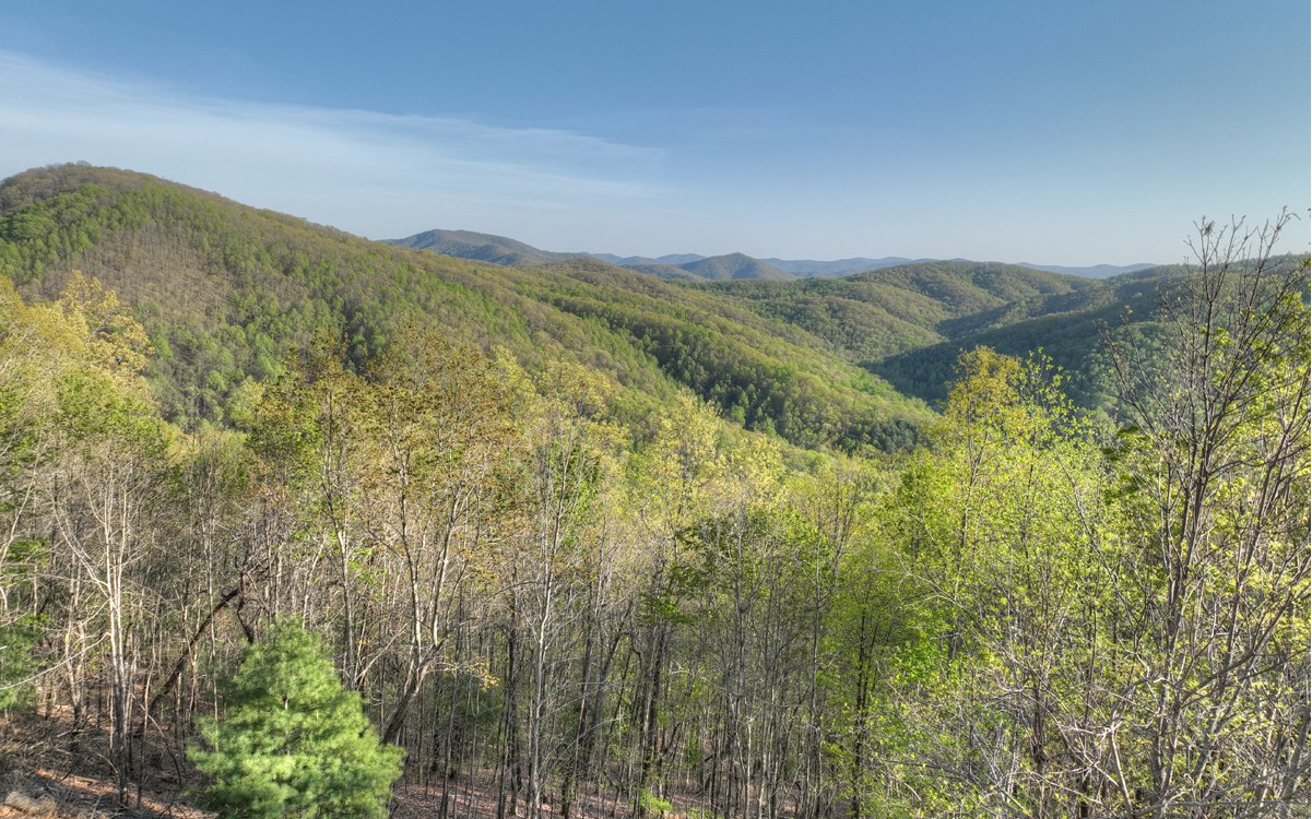 155 Eagles Landing Morganton, GA 30560 - Photo 42 of 52 Additional View