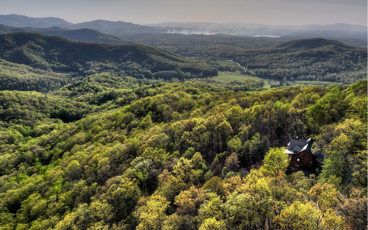 155 Eagles Landing Morganton, GA 30560 - Photo 46 of 52 Additional View