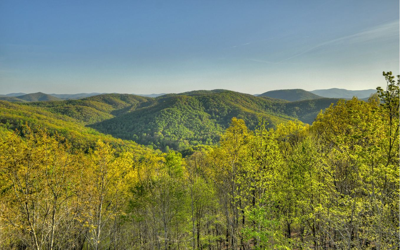 155 Eagles Landing Morganton, GA 30560 - Photo 49 of 52 Additional View