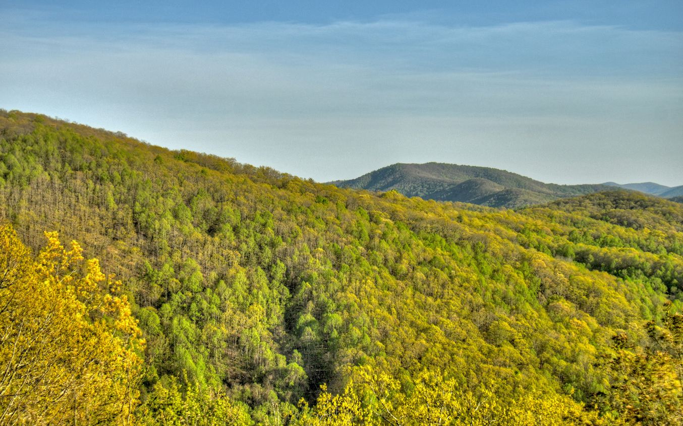 155 Eagles Landing Morganton, GA 30560 - Photo 50 of 52 Additional View