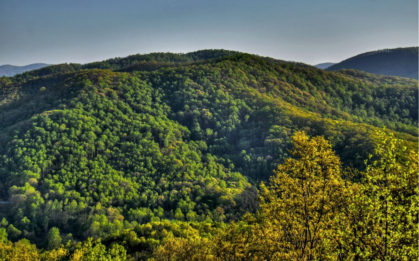 155 Eagles Landing Morganton, GA 30560 - Photo 51 of 52 Additional View