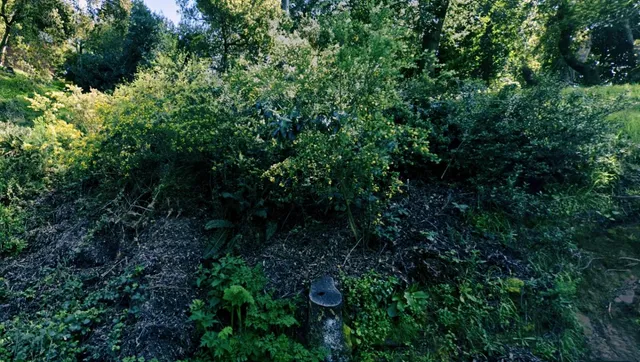 a view of a house with a tree