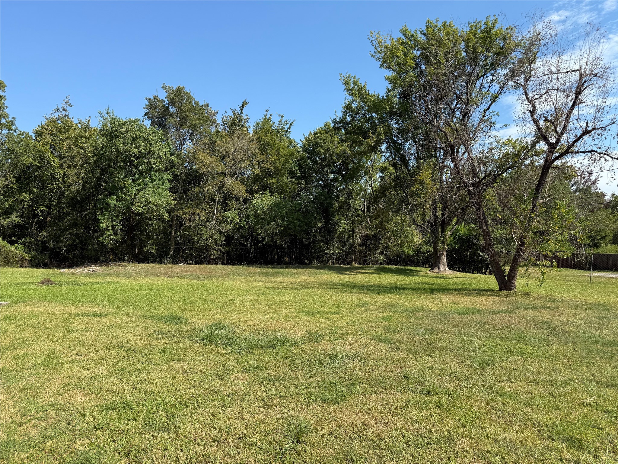 5427 Manton Street Houston, TX 77028 - Photo 5 of 6