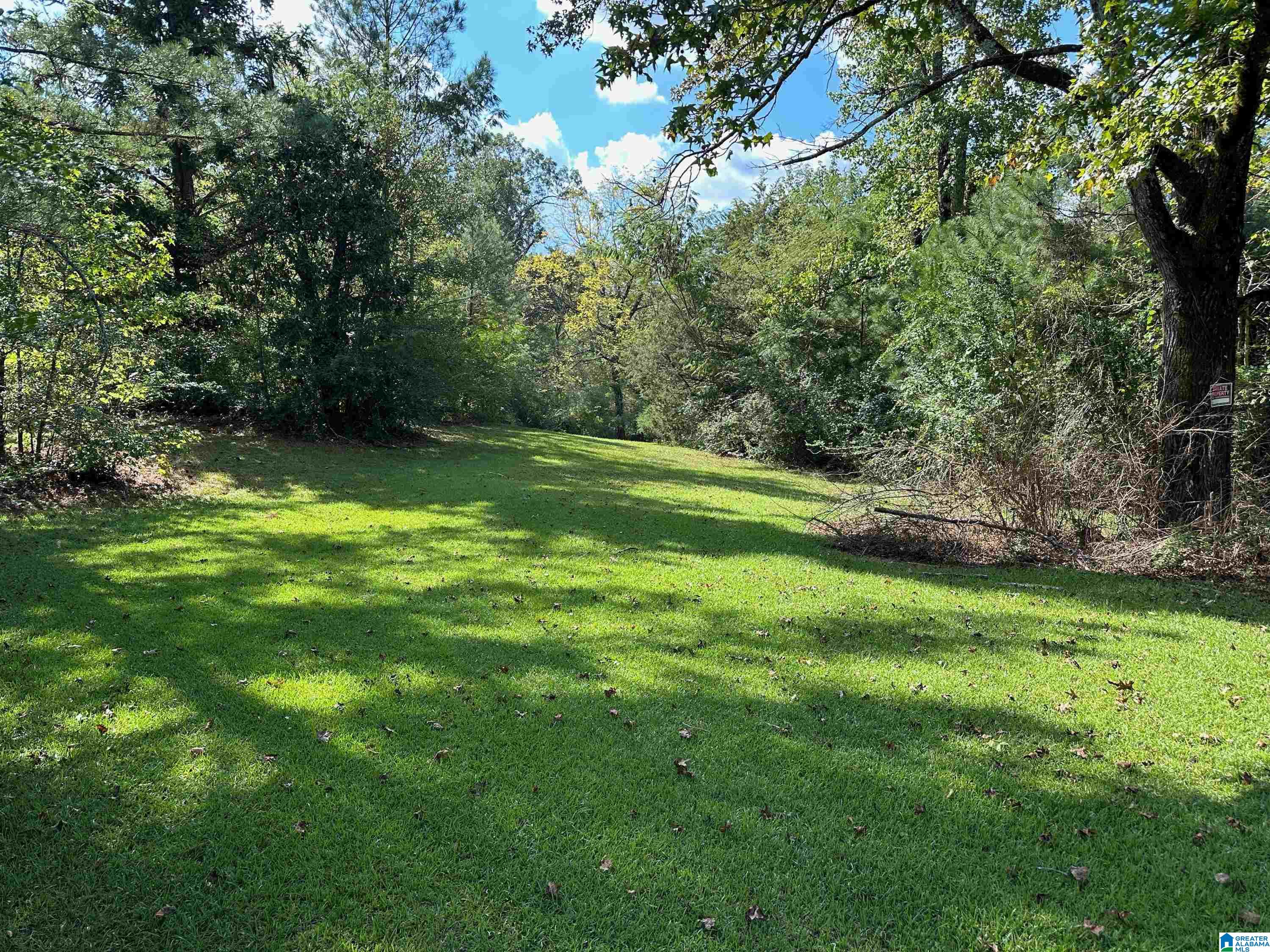 9204 Marsh Mountain Road Pinson, AL 35126 - Photo 37 of 56