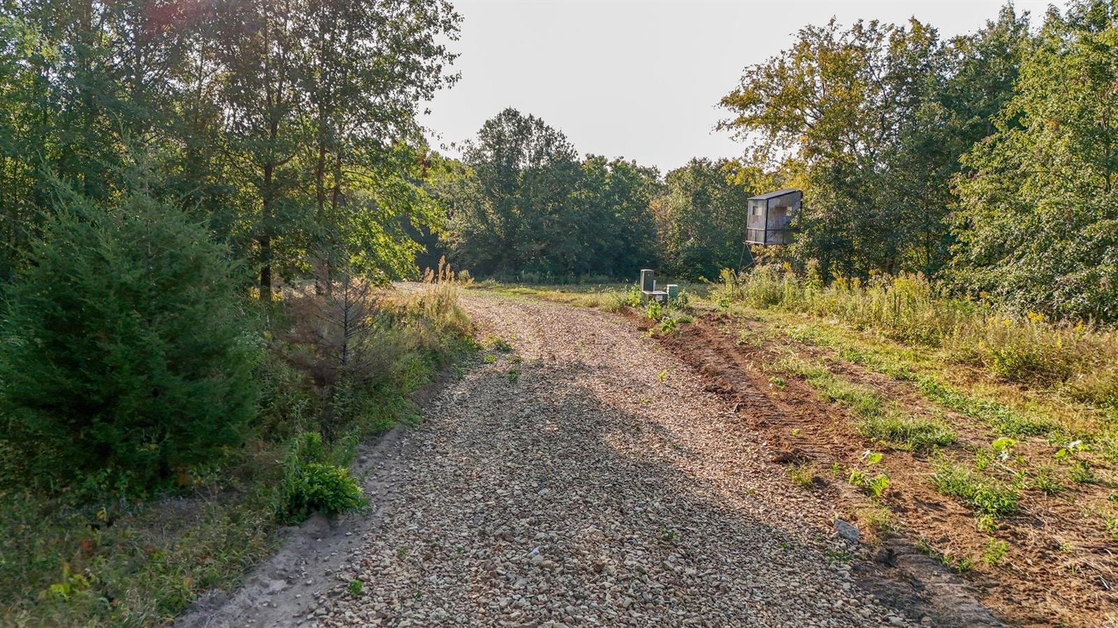 41071 Washington (lot Lane Perry, MO 63462 - Photo 3 of 32