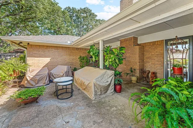 a view of a yard with plants and trees
