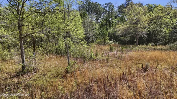 $73,000 | 20548 Highway 43, Picayune, MS 39466