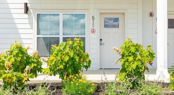 a bunch of flowers in front of a door
