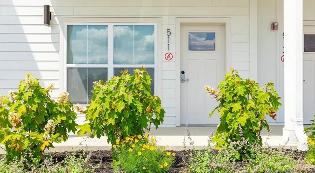 a bunch of flowers in front of a door