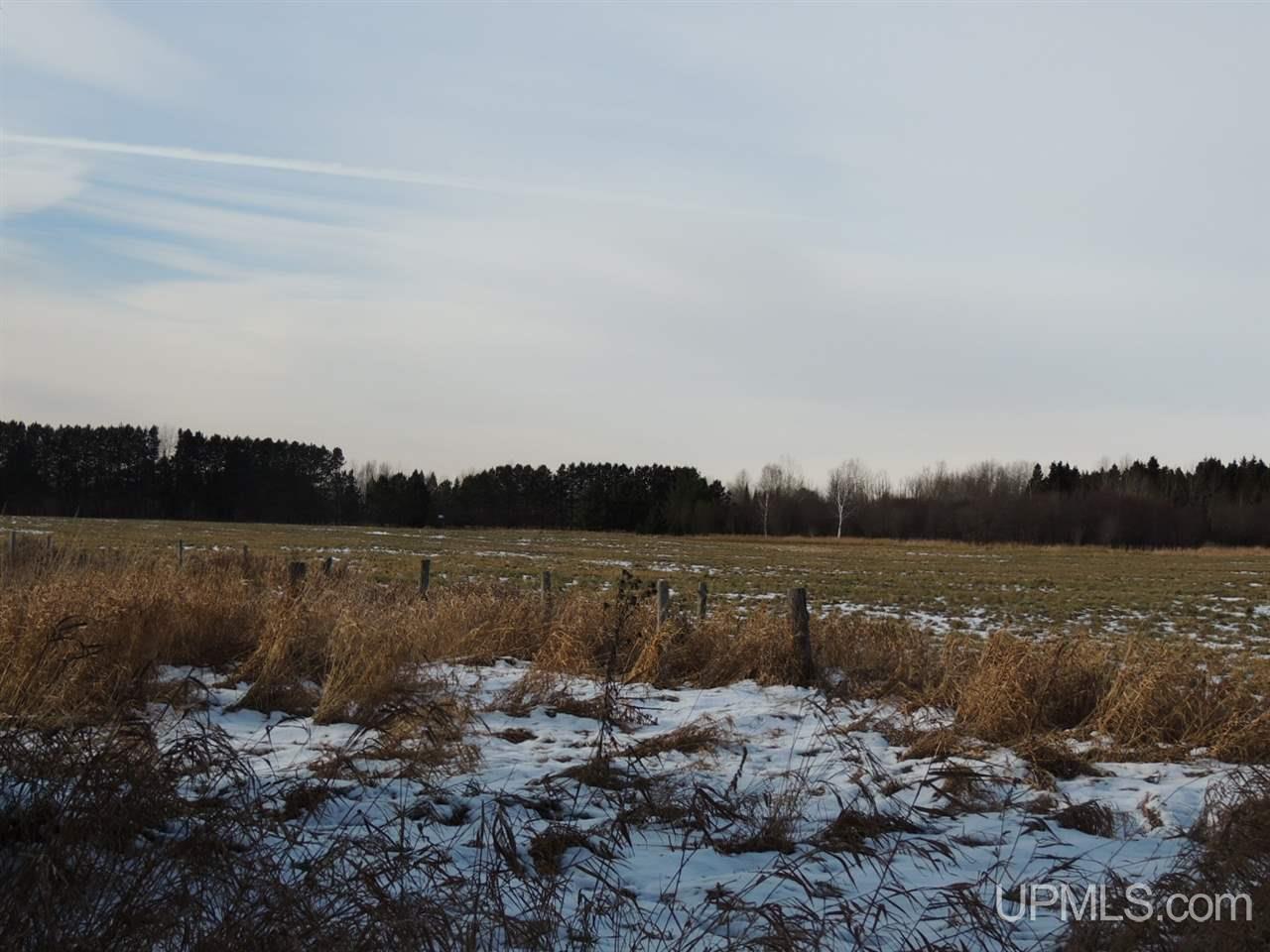 14696 25.75 Road Rapid River, MI 49878 - Photo 28 of 30