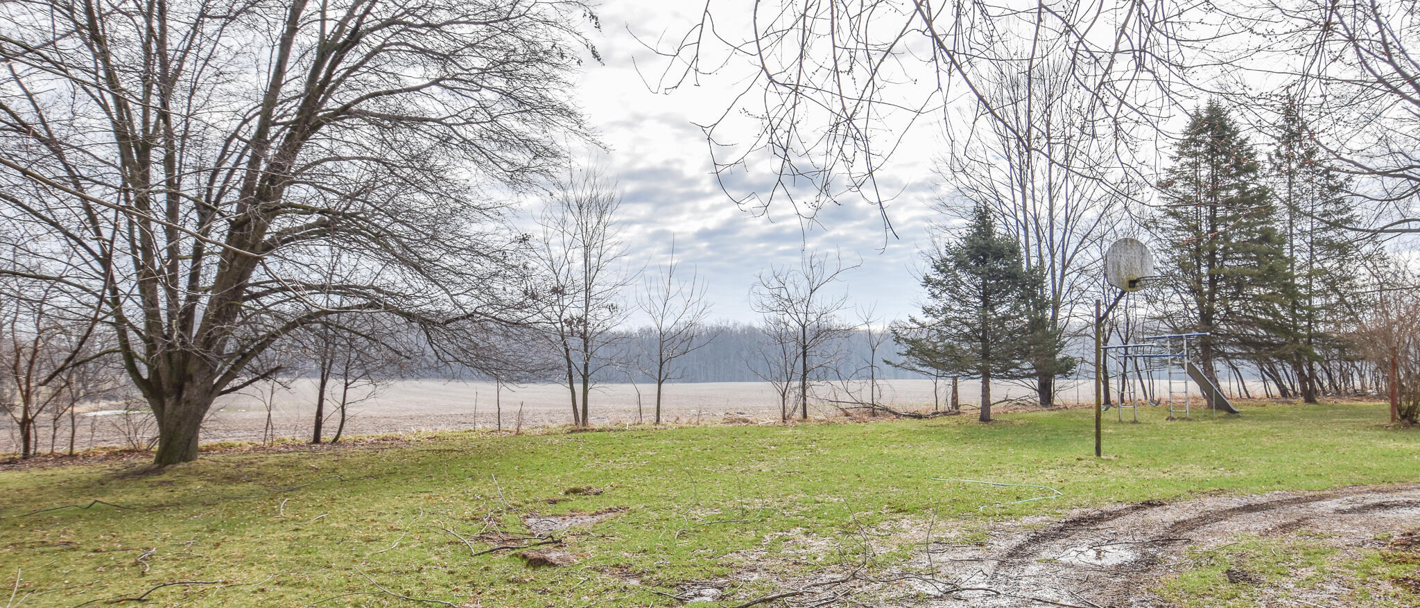 1023 Burbank Road Quincy, MI 49082 - Photo 34 of 34 DSC_0010