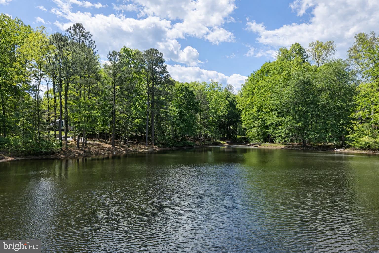209 Estate Drive Ruther Glen, VA 22546 - Photo 46 of 67 a view of a lake with houses in the background